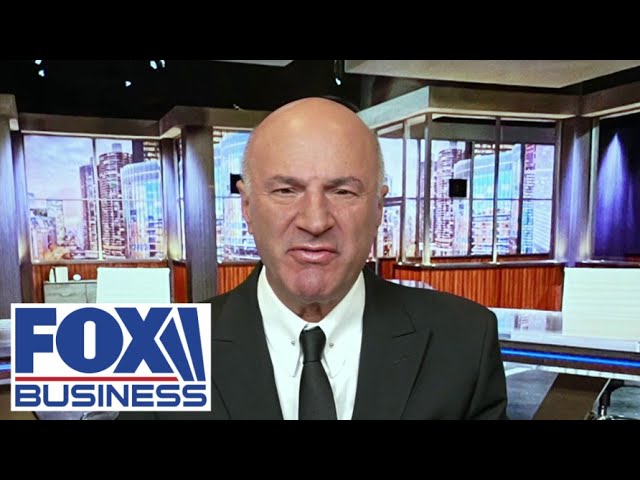 ⁣Kevin O'Leary: Trump reviving Keystone Pipeline would be 'great' for energy independe