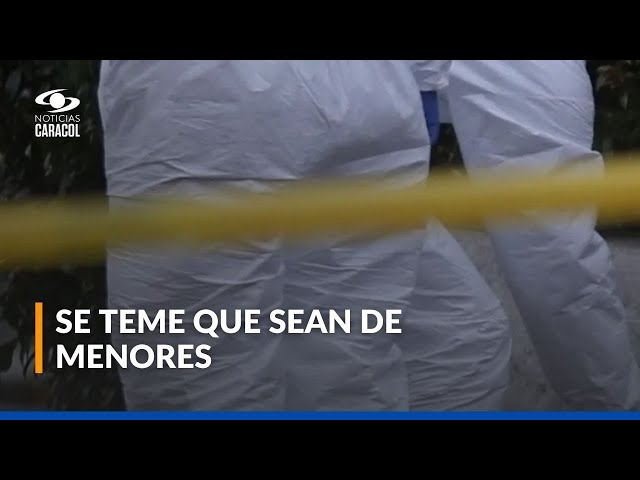 ⁣Encuentran cuerpos de al menos cinco personas en Buenos Aires, Cauca