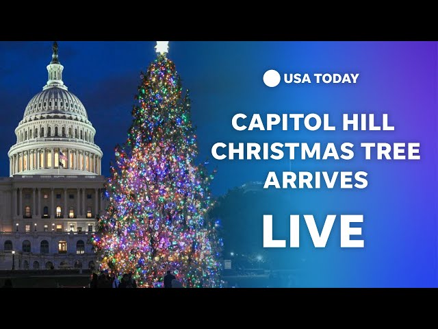 ⁣Christmas tree delivered to Capitol Hill