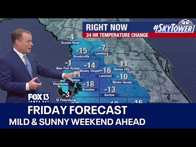 ⁣Tampa weather | Mild & sunny weekend ahead