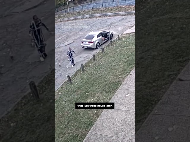 ⁣Teens carjack woman, kick her dog, and point gun at her