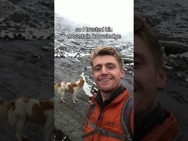 ⁣Un chien errant sauve ce randonneur perdu dans la montagne au Pérou