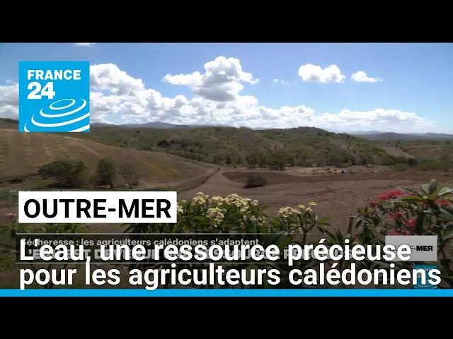 ⁣Nouvelle-Calédonie : l'eau, une ressource devenue précieuse pour les agriculteurs • FRANCE 24