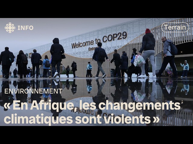 ⁣COP29 : les négociations se poursuivent faute d'accord