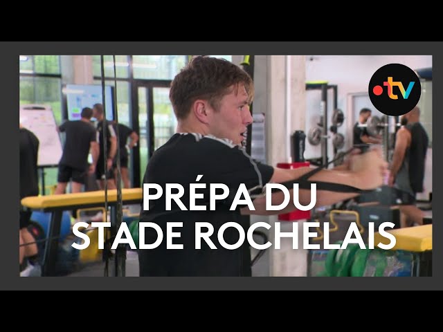 ⁣Stephan Du Toit, responsable de la préparation physique du Stade Rochelais