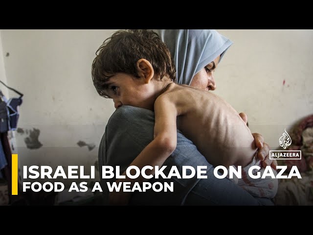 ⁣Ample evidence of Israel using food as weapon of war: Analysis