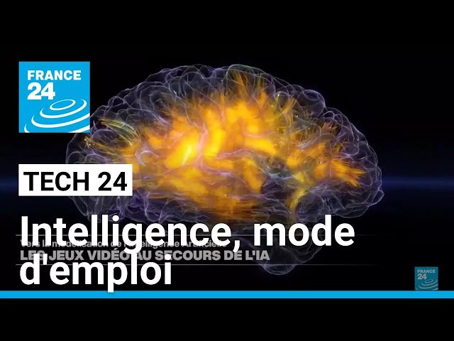 ⁣Le chemin escarpé mais surprenant vers la « superintelligence » • FRANCE 24