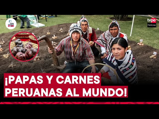 ⁣De papas nativas a carne: ¡El boom agroexportador peruano! | "Asia Pacífico 20/24"