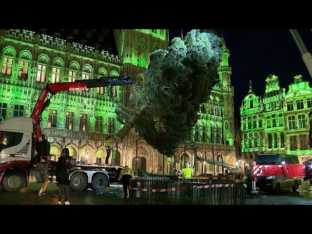 ⁣Arbeiter stellen einen 20 Meter hohen Weihnachtsbaum auf dem Grand Place in Brüssel auf