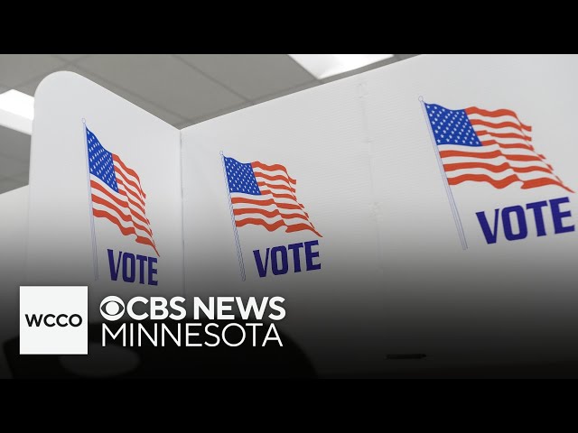 ⁣DFL incumbent leads Minnesota House recount by one vote