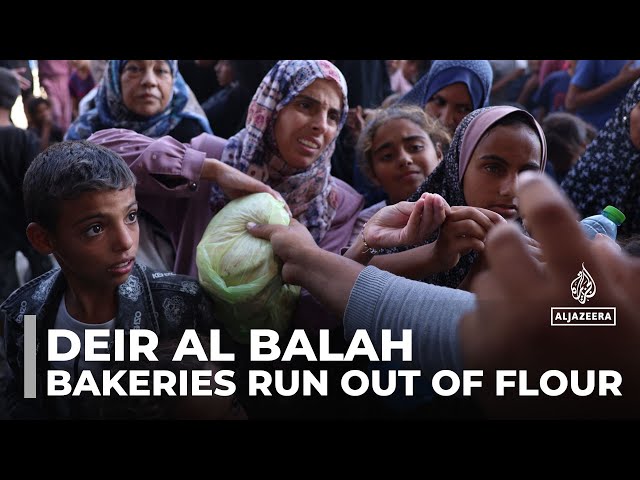 ⁣Deir Al Balah hunger crisis: Long queues as bakeries run out of flour