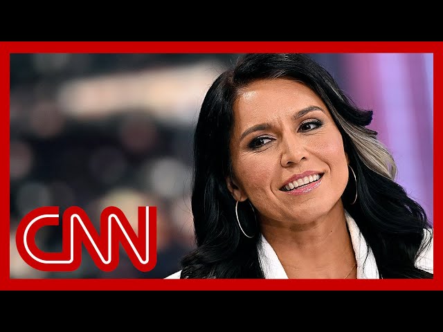 ⁣Sources: Tulsi Gabbard, Trump's intel pick, was briefly on TSA watch list