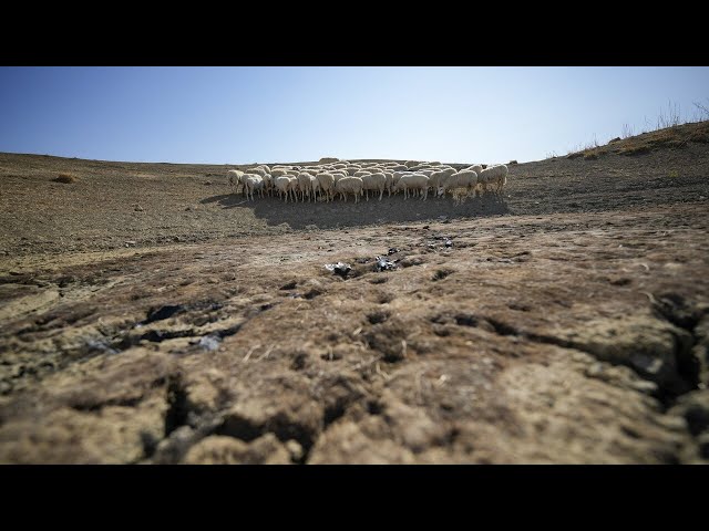 ⁣Sicily battling worsening water crisis