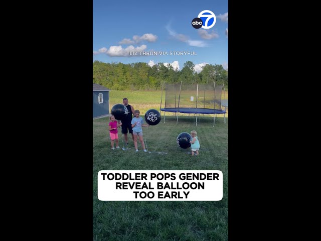 ⁣Toddler pops gender reveal balloon too early!