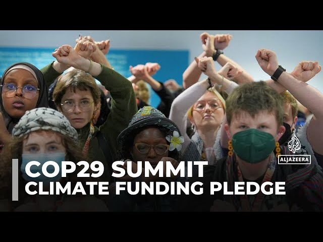 ⁣‘It’s a joke’: $250bn climate finance offer met with scorn at COP29