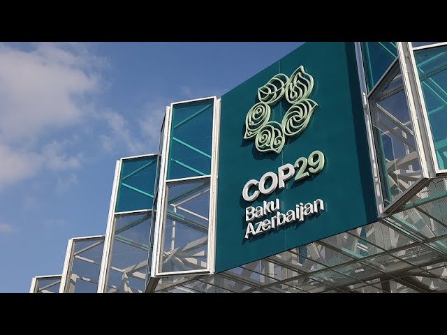 ⁣COP29 : un projet d'accord sur le financement annuel suscite de vives critiques