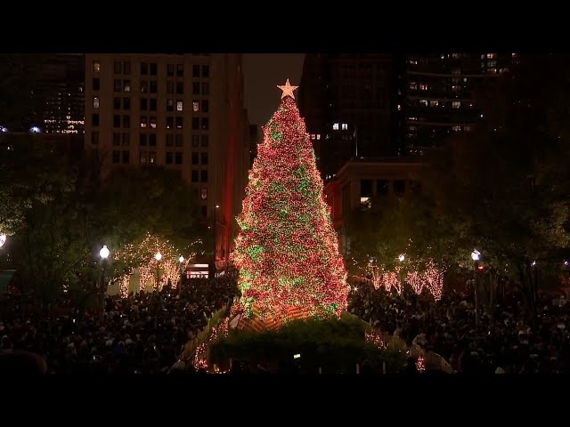 ⁣WATCH: Official Chicago Christmas tree LIT as holiday season begins