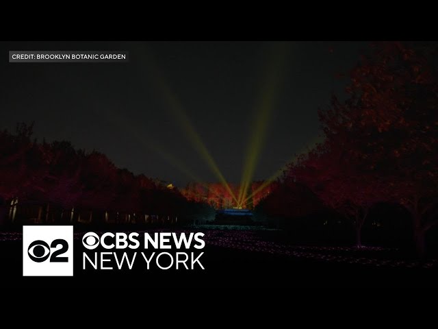 ⁣Brooklyn Botanic Garden opens winter "Lightscape" show