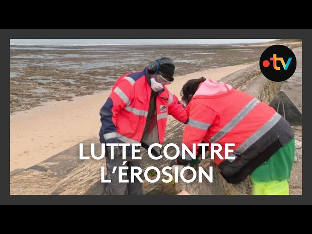 ⁣Lutte contre l'érosion des digues sur l'Île de Ré