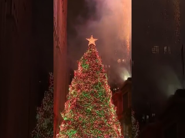 ⁣Watch Chicago's Christmas tree lighting ceremony at Millennium Park 