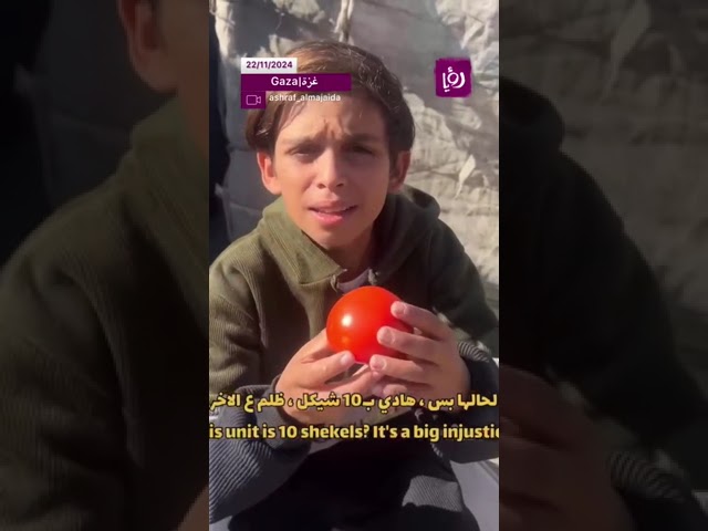 ⁣بسبب الاوضاع في القطاع اصبح الحصول على البندورة كنز