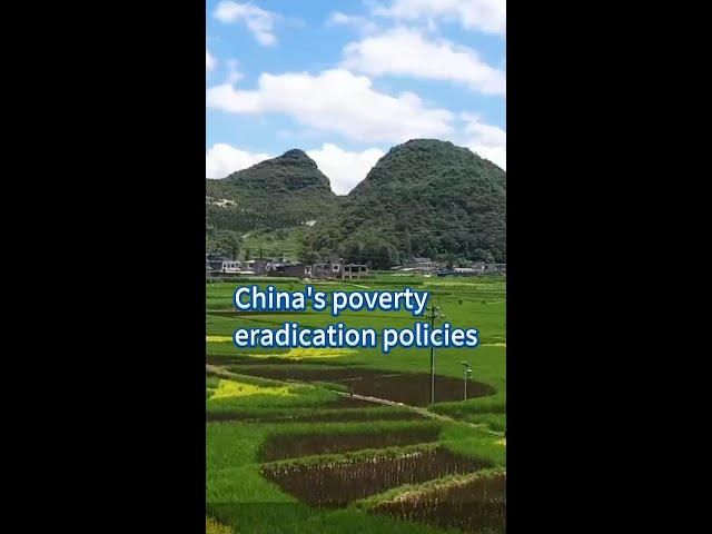 ⁣China's poverty eradication policies serve as inspiring model for other nations: Brazilian expe