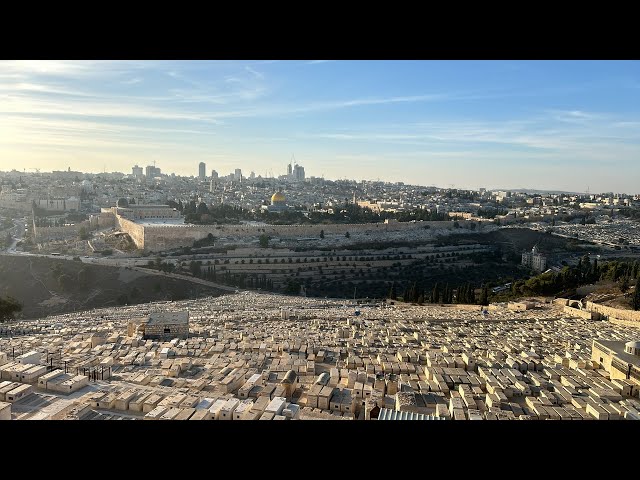 ⁣Jerusalem from the Mount of Olives!