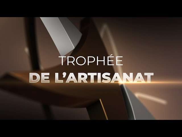 ⁣La Nuit des Réussites Meuse Haute-Marne | Trophée de l'artisanat