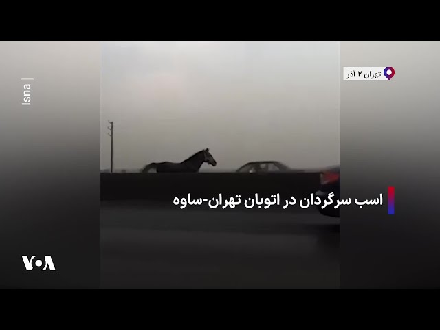 ⁣اسب سرگردان در اتوبان تهران-ساوه