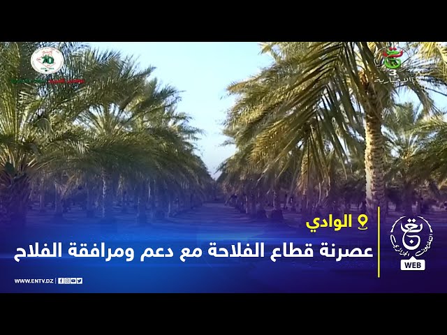 ⁣الوادي | عصرنة قطاع الفلاحة مع دعم ومرافقة الفلاح