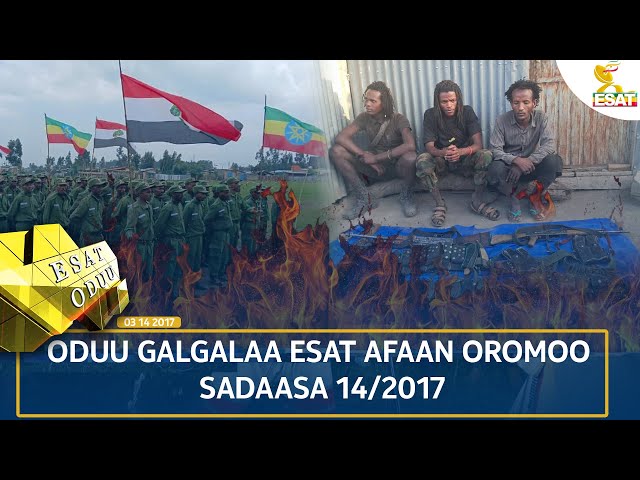 ⁣Ethiopia - ESAT ODUU 22 NOVEMBER 2024