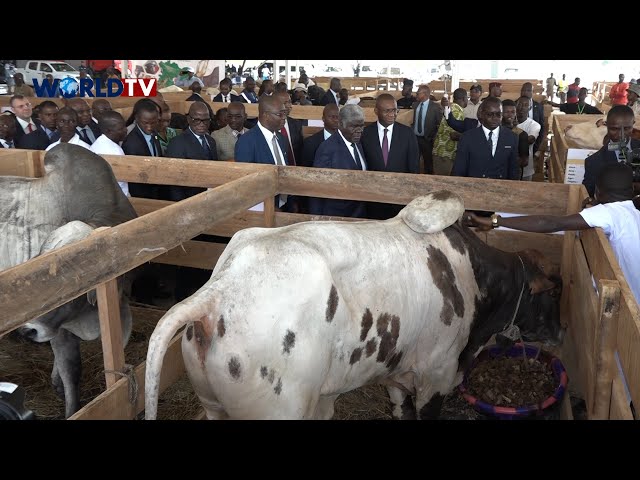 ⁣SELAB 2024 : Robert Beugré Mambé invite les jeunes à s'intéresser à l'élevage, un secteur 