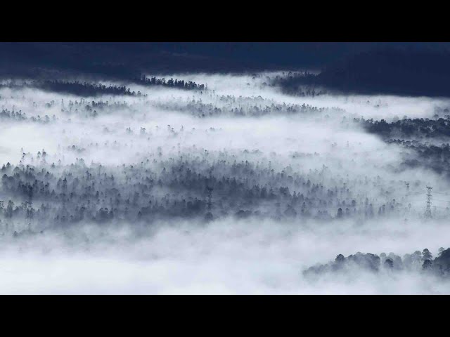 ⁣Frente Frío 10 Causa Heladas y Lluvias Fuertes en Varias Regiones de México