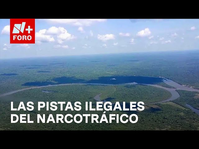 ⁣Descubren pistas clandestinas del narcotráfico en la Amazonía Peruana - Las Noticias