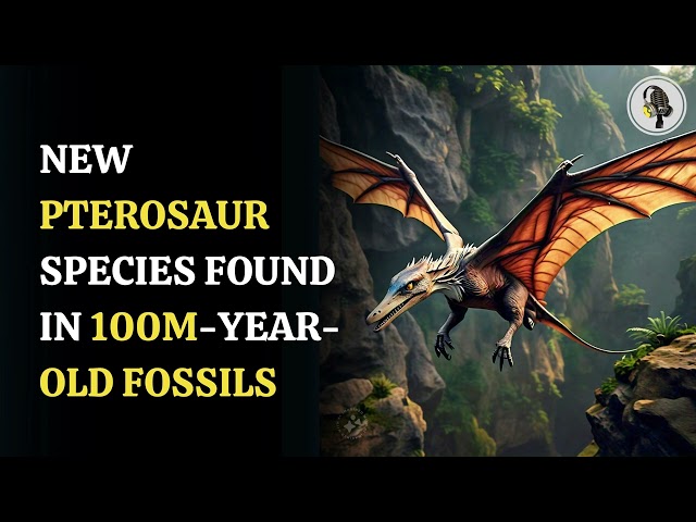 ⁣New Pterosaur Species Found in 100-Million-Year-Old Fossils | WION Podcast