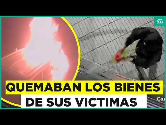 ⁣Los Pulpos en Chile: Así operaba la peligrosa banda criminal peruana