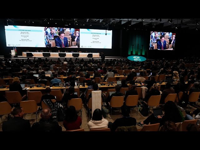 ⁣$300 billion-a-year climate deal reached at COP29 summit