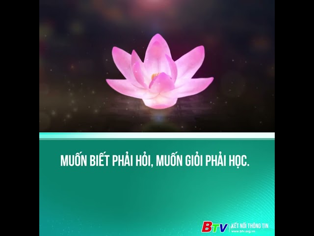 ⁣Muốn biết phải hỏi, muốn giỏi phải học