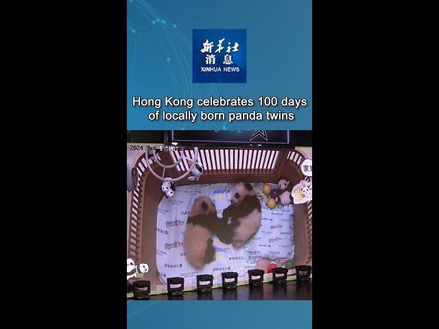 ⁣Xinhua News | Hong Kong celebrates 100 days of locally born panda twins