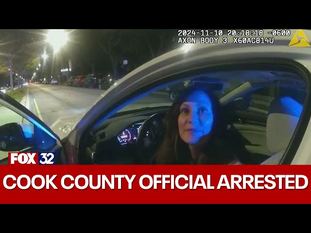 ⁣Video of Cook County politician's DUI arrest released