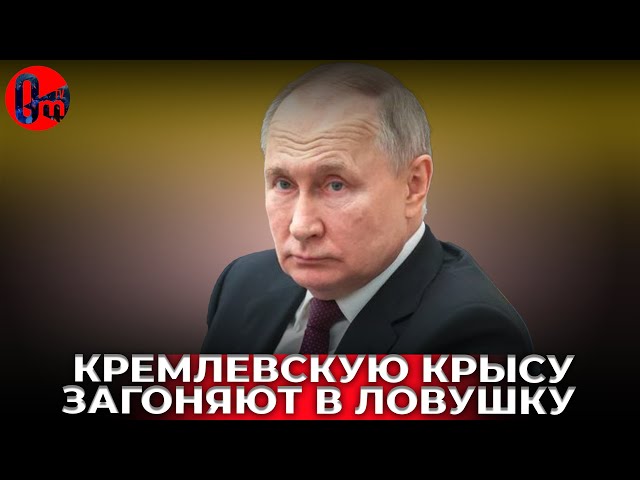 ⁣Кремлевская крыса является самой опасной в мире? @omtvreal