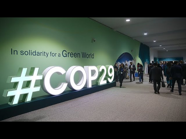 ⁣COP29 : la Chine appelle à une coopération mondiale sur le changement climatique