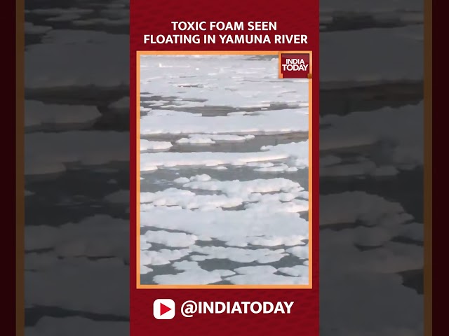 ⁣Toxic Foam Seen Floating On Yamuna River In Kalindi Kunj, Pollution Level Remains High In The River