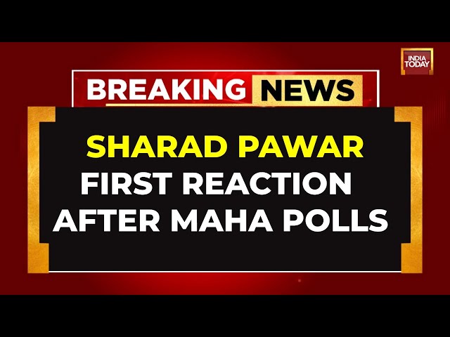 ⁣Maharashtra Elections: Sharad Pawar's First Reaction After Mega MVA Loss In Maharashtra| India 