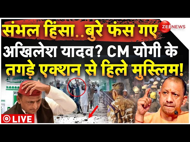 ⁣Akhilesh Yadav Trapped Over Sambhal Violence! LIVE: संभल हिंसा..बुरे फंस गए अखिलेश यादव? | CM Yogi