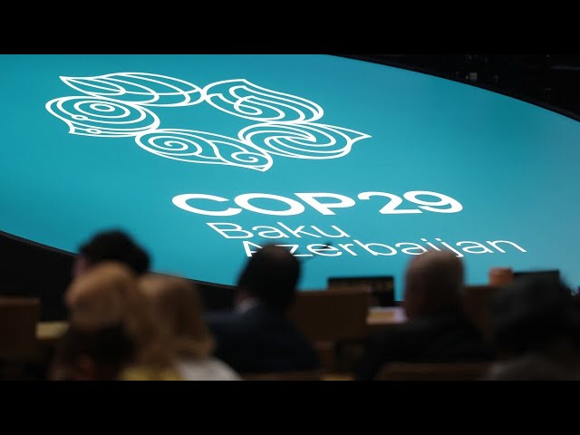 ⁣‘Absolute and utter rubbish’: COP29 reaches $460 billion climate deal