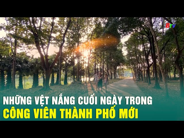 ⁣Những vệt nắng cuối ngày trong công viên Thành phố mới