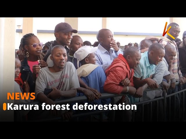 ⁣Friends of Karura forest denounce allegations of deforestation in parts of the forest