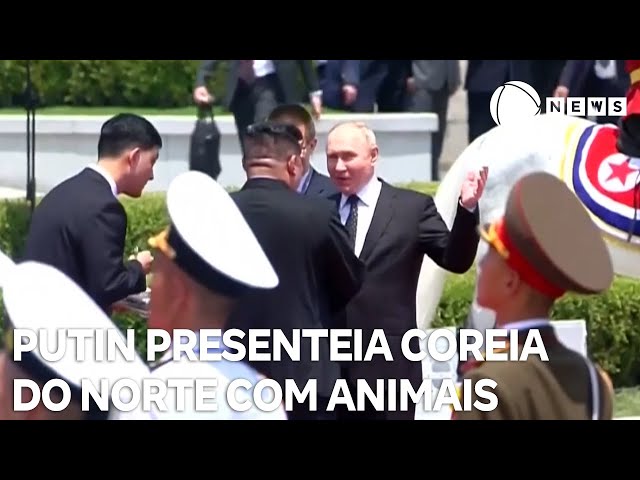 ⁣Putin presenteia Coreia do Norte com leoa, cacatuas e urso