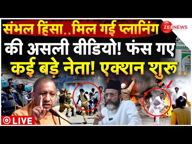 ⁣Biggest Reveal in Sambhal Violence LIVE Updates: संभल हिंसा के मिले सबूत..फंस गए बड़े नेता | CM Yogi